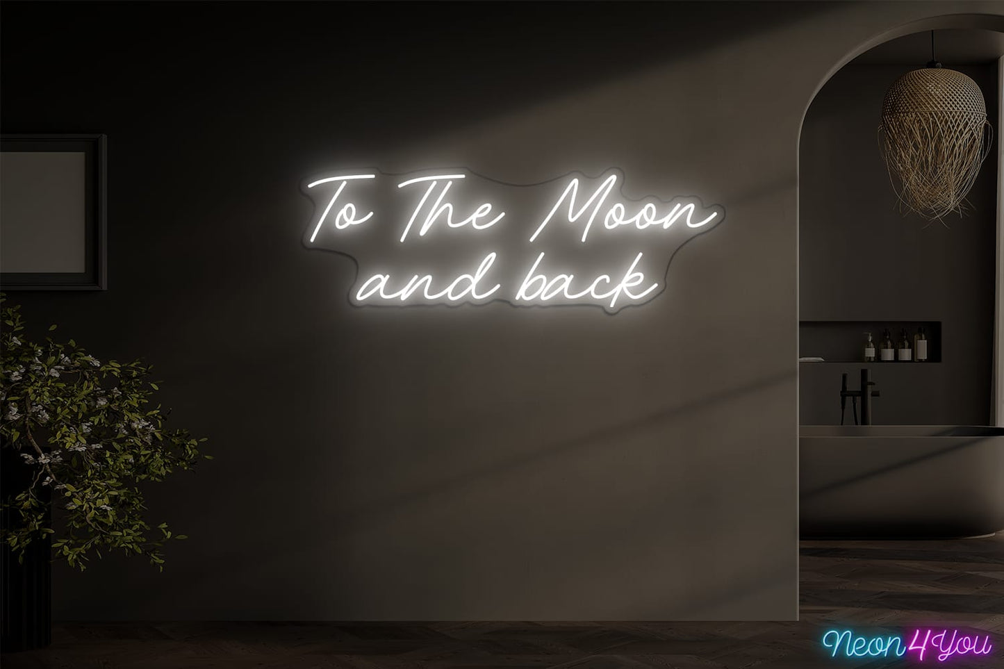To The Moon and back
